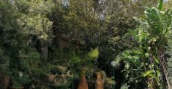 3 Bedroom House For Sale: Buccleuch, Sandton