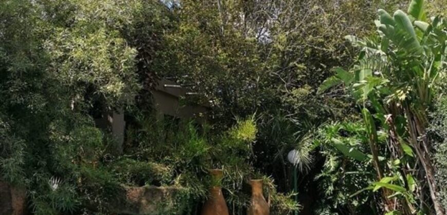 3 Bedroom House For Sale: Buccleuch, Sandton