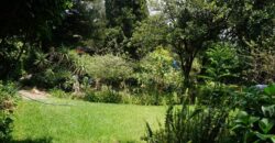 3 Bedroom Duplex For Rent: Khyber Rock, Sandton