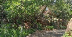 3 Bedroom Duplex For Rent: Khyber Rock, Sandton