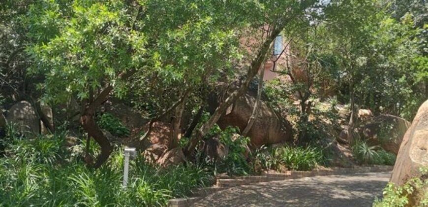 3 Bedroom Duplex For Rent: Khyber Rock, Sandton