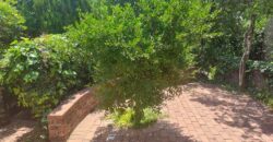 3 Bedroom Duplex For Rent: Khyber Rock, Sandton