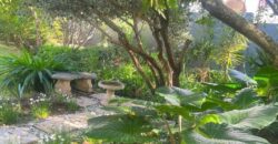 4 Bedroom House For Sale: Bryanston East, Sandton